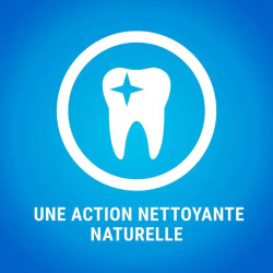 Purina DENTALIFE - Hygiène bucco dentaire - Chat - Saumon Faunelia