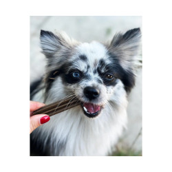 Marly & Dan Dental care - 7 sticks - Petits chien Faunelia