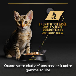 Purina PRO PLAN - Chaton - Healthy start - à la dinde en sauce Faunelia