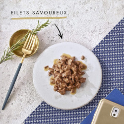 Purina GOURMET Les Filettines en Sauce : Bœuf, Poulet, Lapin et Saumon Faunelia