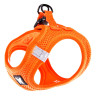 Martin Sellier Harnais MESH - Orange Faunelia