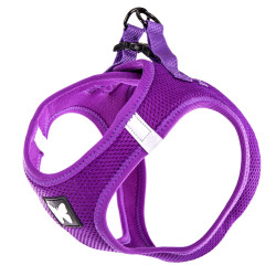 Martin Sellier Harnais MESH - Violet Faunelia