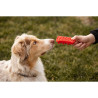 PET+ME Brosse universelle - Grands chiens à poils longs - Rouge Faunelia