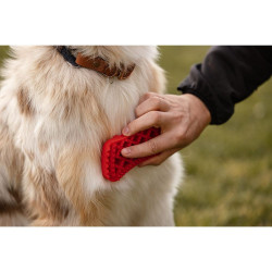 PET+ME Brosse universelle - Grands chiens à poils longs - Rouge Faunelia