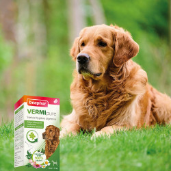 Beaphar VERMIPURE - Comprimés spécial hygiène digestive - Chien +de15kg Faunelia