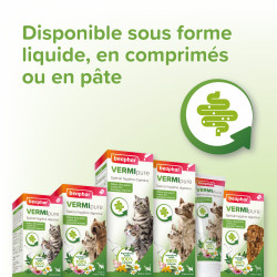 Beaphar VERMIPURE - Comprimés spécial hygiène digestive - Chien +de15kg Faunelia