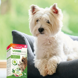 Beaphar VERMIpure - Comprimés spécial hygiène digestive - Chien -de 15kg Faunelia