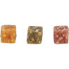 TRIXIE Vegan Cubes - Friandises pour chien - Aux fruits & légumes Faunelia