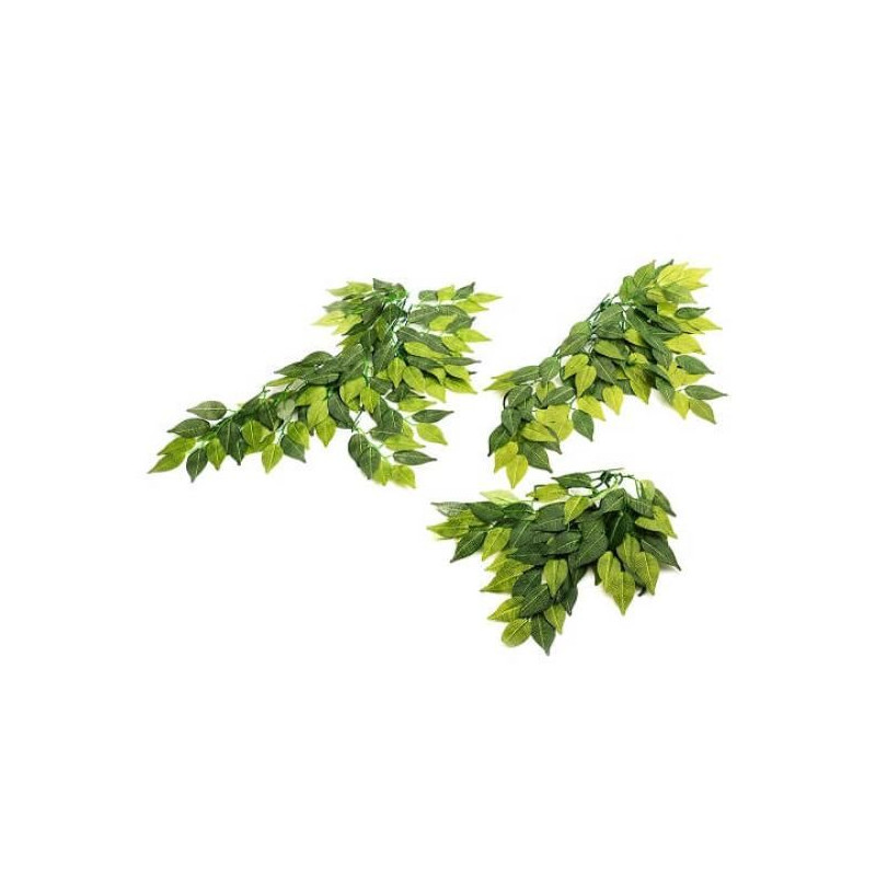 Reptizoo BANYAN LEAVES - 50cm Faunelia