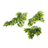 Reptizoo BANYAN LEAVES - 50cm Faunelia