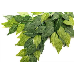 Reptizoo BANYAN LEAVES - 50cm Faunelia