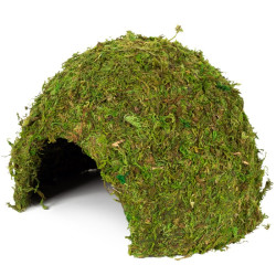 Reptizoo Dome mousse naturelle Faunelia