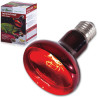 Reptizoo LAMPE CHAUFFANTE A INFRAROUGE - 75W Faunelia