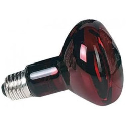 Zoomed LAMPE REPTI INFRARED S Faunelia