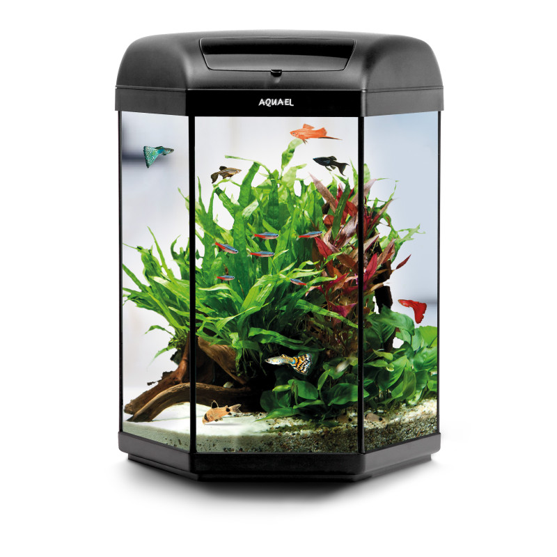 AQUAEL AQUARIUM SET - HEXA SET - D&N - BLACK Faunelia