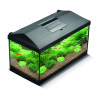 AQUAEL AQUARIUM SET - LEDDY D&N - BLACK Faunelia