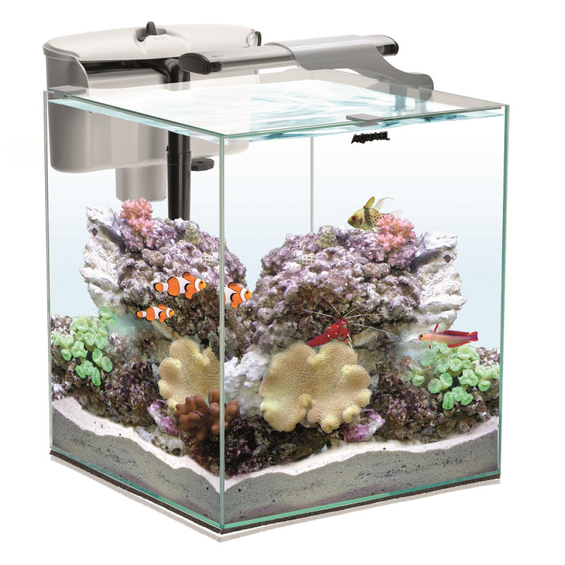 AQUAEL AQUARIUM SET - NANO REEF DUO Faunelia