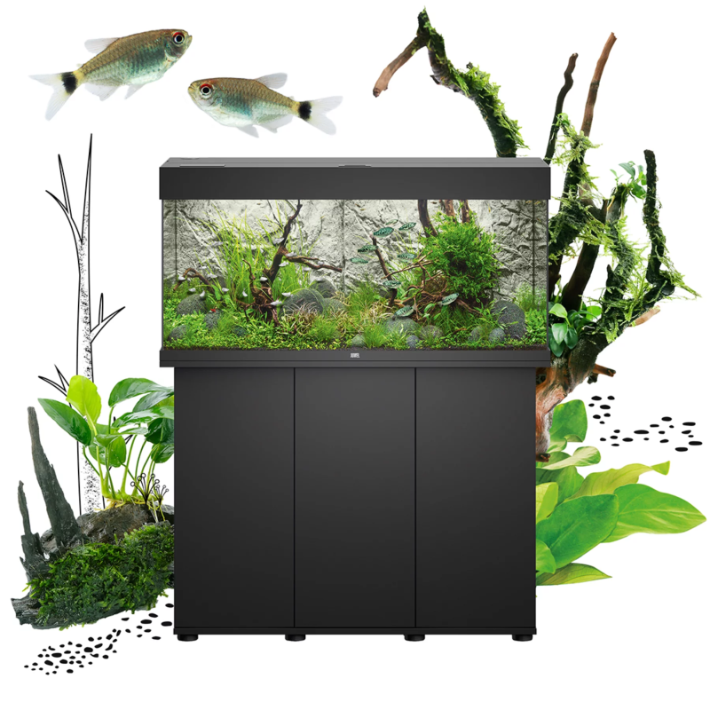 Juwel Aquarium RIO - 125 LED Faunelia