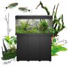 Juwel Aquarium RIO - 240 LED Faunelia