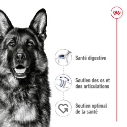 Royal canin Croquettes - Chien - Maxi - Adulte Faunelia