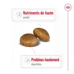 Royal canin Croquettes - Chien - Maxi - Adulte Faunelia