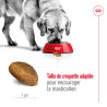 Royal canin Croquettes - Chien - Maxi - Adulte Faunelia