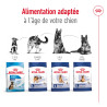 Royal canin Croquettes - Chien - Maxi - Adulte Faunelia