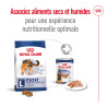 Royal canin Croquettes - Chien - Maxi - Adulte Faunelia