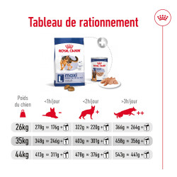 Royal canin Croquettes - Chien - Maxi - Adulte Faunelia