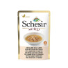 SCHESIR Soupe pour chat - Saumon et carottes Faunelia