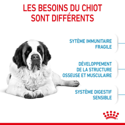 Royal canin Croquettes - Chien - Giant - Junior Faunelia