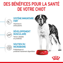 Royal canin Croquettes - Chien - Giant - Junior Faunelia