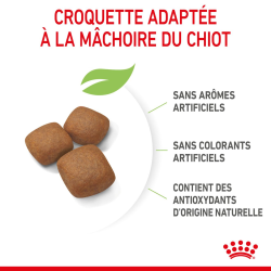 Royal canin Croquettes - Chien - Giant - Junior Faunelia