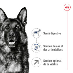 Royal canin Croquettes - Chien - Maxi - Adulte 5+ Faunelia