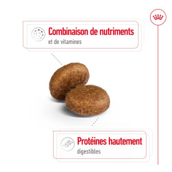 Royal canin Croquettes - Chien - Maxi - Adulte 5+ Faunelia