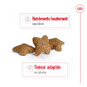 Royal canin Croquettes - Chien - Mini - Adulte Faunelia