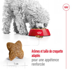 Royal canin Croquettes - Chien - Mini - Adulte Faunelia