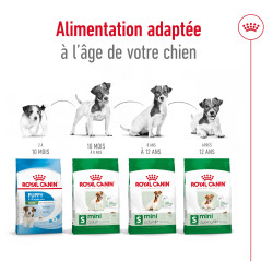 Royal canin Croquettes - Chien - Mini - Adulte Faunelia