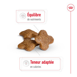 Royal canin Croquettes - Chien - Mini - Adulte 8+ Faunelia