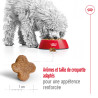 Royal canin Croquettes - Chien - Mini - Adulte 8+ Faunelia