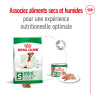 Royal canin Croquettes - Chien - Mini - Adulte 8+ Faunelia