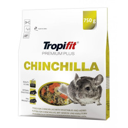 Chinchilla | Faunelia