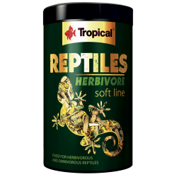 Tropical Reptiles Herbivore Faunelia