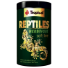 Tropical Reptiles Herbivore Faunelia