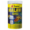 Tropical Malawi Chips Faunelia