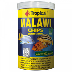 Tropical Malawi Chips Faunelia