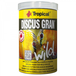 Discus Gran Wild