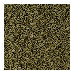 Tropical Cichlid Spirulina Medium Sticks Faunelia