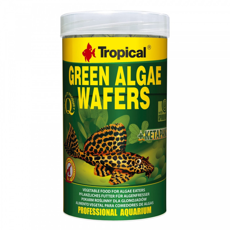 Tropical Green Algae Wafers Faunelia