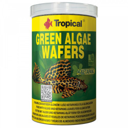 Tropical Green Algae Wafers Faunelia